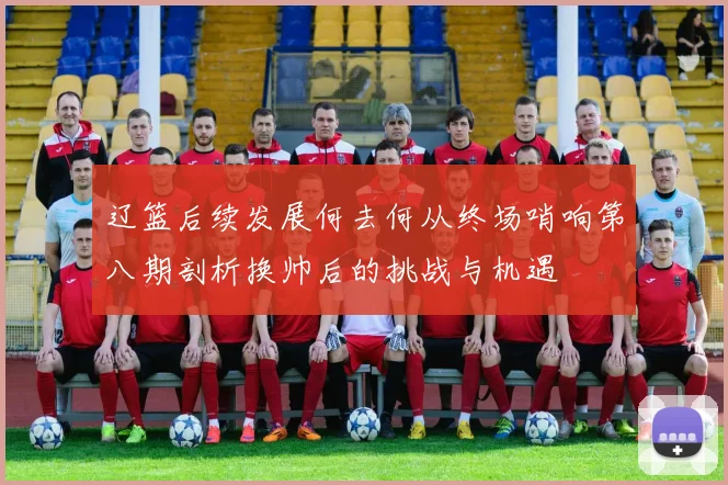 辽篮后续发展何去何从终场哨响第八期剖析换帅后的挑战与机遇